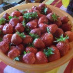 Die Erdbeerernte 2010 zeichnete sich dürch rote, volle Erdbeeren aus, die für leckere Rezepte verwendet wurden