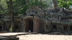 Der von der Vegetation überwucherte Tempel Ta Prohm.