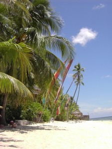 Beachflags