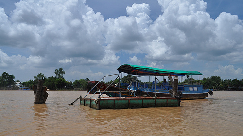 Das Mekong Delta als Heimat des Sushi?